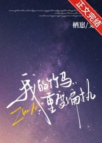 极品枭雄免费阅读