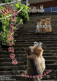 一个雨天殊娓讲的什么